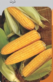 تصویر نشا ذرت بلالی 