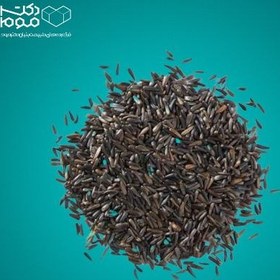 تصویر زیره سیاه 