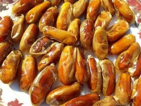 تصویر خرما شاهانی Shahani Dates