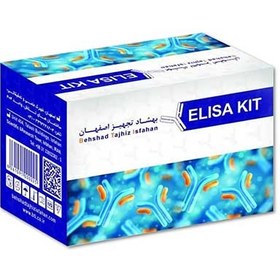 تصویر کیت ویتامین D برند BTi Vitamin D kit brand BTi