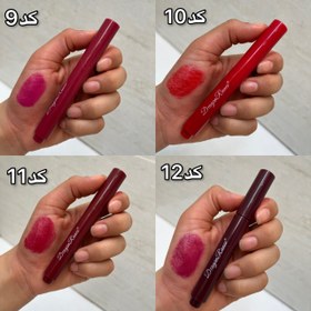 تصویر لیپ پلامپر دراگون - 10 