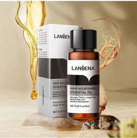 تصویر روغن رویش مجدد و رشد مو از برند اورجینال Lanbena با حجم ۲۰ میل Hair regrowth and growth oil from the original Lanbena brand with a volume of 20 ml