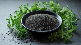 تصویر زیره سیاه - ۱سیر Black cumin