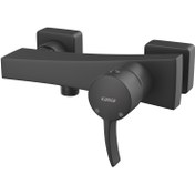 تصویر شیر توالت فیورنزو کسری 