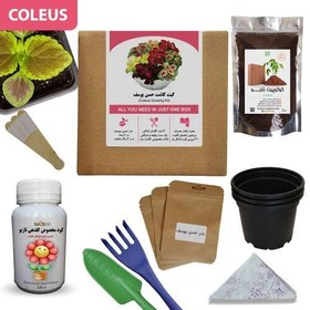 تصویر کیت کاشت حسن یوسف 