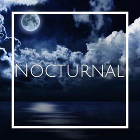 تصویر رایحه اسانس خوشبو کننده هوا ناکترنال (Nocturnal) 