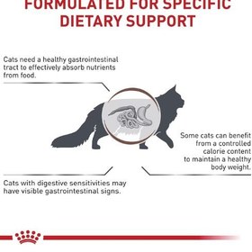 تصویر غذای خشک گربه گاسترو اینتستینال با کالری متوسط رویال کنین (Royal Canin Cat Gastro Moderate Calorie) وزن ۲ کیلوگرم 