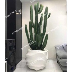 تصویر گلدان لوکس افوربیا EU13 