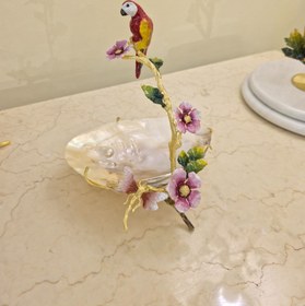 تصویر صدف طوطی 