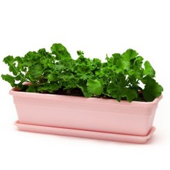 تصویر گلدان گل‌ آذین مدل بنفشه 604 