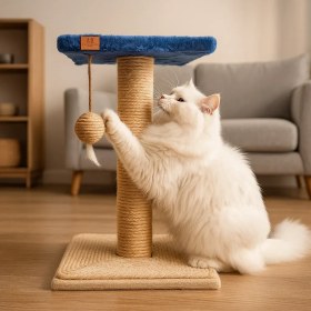 تصویر اسکرچر گربه یک طبقه آویز توپ و پر 