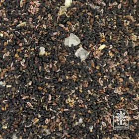 تصویر چهار تخم 