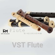 تصویر وی اس تی فلوت مارکتی ( سهیل رنجکش ) flute vst