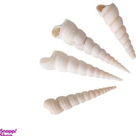 تصویر صدف تزئینی کد 4563 مجموعه 4 عددی 