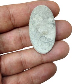 تصویر نگین فسیل سنگی مرجان 