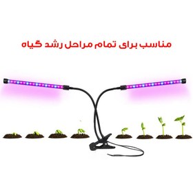 تصویر چراغ رشد گل و گیاه 