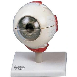 تصویر فروشگاه کیمیا گلستان