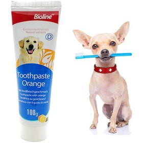 تصویر خمیر دندان سگ بایولاین طعم پرتقال 100 گرم + مسواک انگشتی رایگان Bioline Dental Care Set for Dogs with Orange 100ml