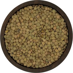 تصویر عدس درشت 