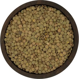 تصویر عدس درشت 