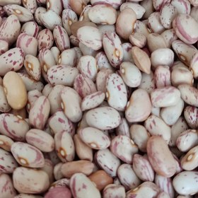 تصویر لوبیا چیتی ارگانیک ، دست چین شده(یک کیلوگرمی) 