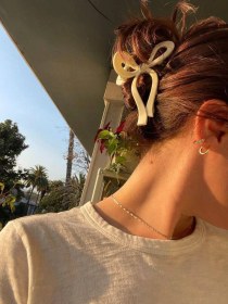 تصویر کلیپس پاپیونی 