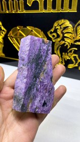 تصویر اسلایس چاروئیت 