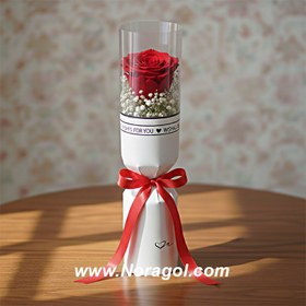 تصویر تک شاخه گل رز 