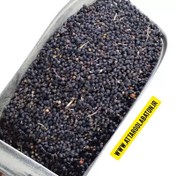 تصویر میوه آقطی(100 گرم) ـ عطار گلابتون Elderberry