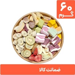 تصویر باکس مخلوط میوه و بستنی خشک پفکی 60 گرمی (فریز درایر freeze-dried) 