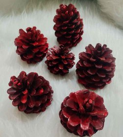 تصویر میوه کاج قرمز 