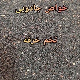 تصویر تخم خرفه 4 کیلویی 