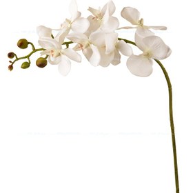 تصویر گل مصنوعی شاخه ارکیده لمسی 9 گل کد H-1721 