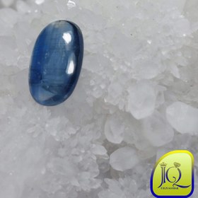 تصویر نگین کیانیت 