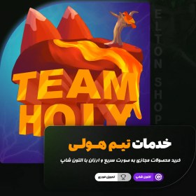 تصویر خدمات سرور تیم هولی Team Holy 