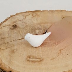 تصویر دکوری مینیمال مرغ آمین 