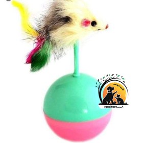 تصویر توپ تعادل گربه 