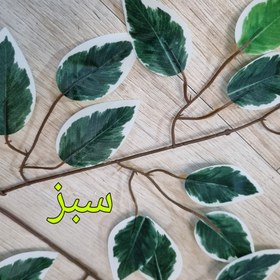 تصویر گل مصنوعی مدل برگ بنجامین ابلق بسته 12 عددی 