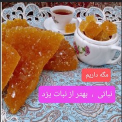 تصویر نبات دو آتیشه یزد 