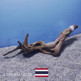 تصویر زیشه آبنوس کد1035 ارسال این ریشه رایگان می باشد