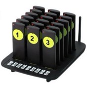 تصویر ست ۱۸ عددی پیجر شاخه ایی مدل CS18QM 