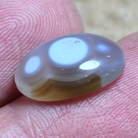 تصویر باباقوری قائن زیبا چشم نواز 