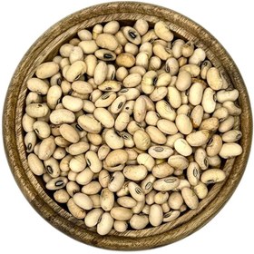 تصویر سویا آجیلی 