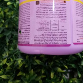 تصویر سم استامی پراید20% هندی بهسم (شته کش و کرم کش) Acetamiprid