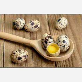 تصویر تخم بلدرچین ارگانیک 