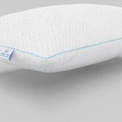 تصویر بالش کلاسیک سنتی گرین رست 