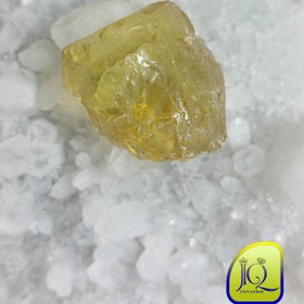 تصویر راف سیترین 