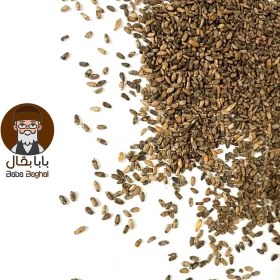 تصویر بذر خار مریم 