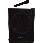 تصویر اکو همراه برین مدل B12150 با میکروفن بیسیم و پرتابل 