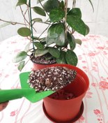 تصویر بستر کشت ۸ لیتری سبک برای گیاهان آپارتمانی - خاک vip ریزوم‌دارها Dutch soil for house plant